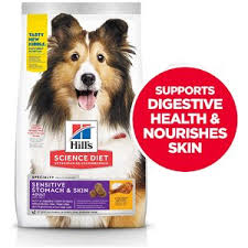 Small and medium breed puppies The Best Food For Dog With Diarrhea And Loose Stool What To Feed Your Pet