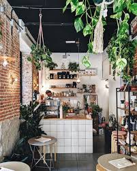 Pin On Plants And Flowers