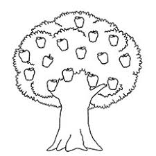 The following genealogy tree charts come in two versions: Top 25 Tree Coloring Pages For Your Little Ones