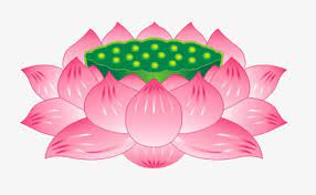 Pin On Vector