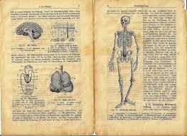 Anatomy Halloween Miniatures Halloween Books Dollhouse Halloween