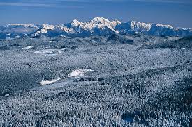 Slovenia pokljuka december 2016 (видео). Pokljuka Plateau Think Slovenia