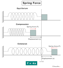 Spring Force Definition Formula And Examples