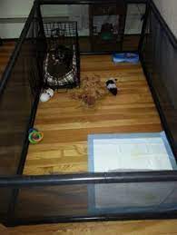 My Diy Custom Size Play Pen For My Pup Made From Pvc Mosquito Netting And Zip Ties So Easy To Do And Inexpensive Dog Playpen Puppy Pens Diy Dog Stuff