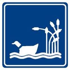 Lago-laguna 
