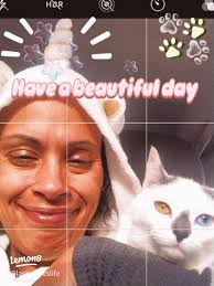 Meet Phineas: The Adorable Blue Russian Cat