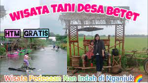 Wisata bale tani mulai dibuka pada 2017 dan menjadi salah satu destinasi wisata andalan jombang si kota santri. Wisata Tani Desa Betet Nganjuk Youtube