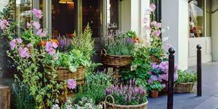 Check spelling or type a new query. These Are Designers Favorite Gardening Shops Architectural Digest
