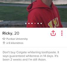 It might be five words, three paragraphs, or a hilarious photo, but either way you're in stitches. 60 Creative Tinder Bios You May Want To Steal For Yourself Inspirationfeed
