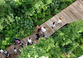 Industry City 2016 Terrain Nyc 2018 Ny Chapter Asla Honor Award For General Design Landscape Architec Amenagement Paysager Paysage Urbain Terrasse Bois