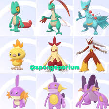 Just like in past pokemon games, pokemon can be bred with for those without the charm, pokemon dataminer kurt discovered elements of the sword and shield code that detail a few different methods for increasing shiny. Shiny Hoenn Starters Pokemon Sword Shield Toys Games Video Gaming In Game Products On Carousell