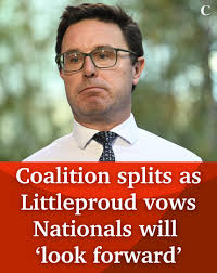 TRL TALK Round 6: A 62-point match of the year contender and an NRLW star 