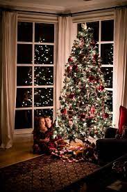 Pin On Christmas Photo Ideas