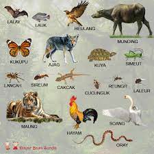 Dalam bahasa indonesia, jawa, sunda, minangkabau, dan aceh, hewan ini disebut gajah.kata ini sendiri berasal dari bahasa sanskerta, gaja, yang merupakan kata dasar dari kata benda maskulin.dalam kasus nominativus (sebagai subjek yang berdiri sendiri), gaja yang berbentuk tunggal seharusnya mengalami deklinasi menjadi gajas, tetapi kata ini kemudian terkena hukum bunyi s di. Sebutkan 10 Peribahasa Beserta Artinya Cikimm Com
