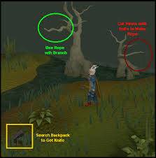 In this osrs woodcutting guide, we will cover both the fastest way to gain woodcutting experience and also a way to level up woodcutting and make osrs gold at. Activity Temple Trekking Sal S Realm Of Runescape