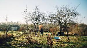 In dieser rubrik werden mittelgroßen gärten ausführlich durch pläne und bilder dokumentiert. Einen Blumengarten Gestalten Aus Dem Garten
