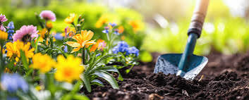 Flower planting adding color to outdoor spaces