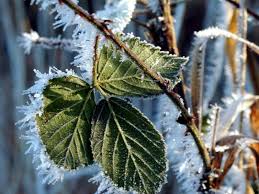 Virusvariantengebiet stattgefunden hat grundsätzlich bei einreise über ein negatives testergebnis. Wetter Der Winter Kommt Zuruck So Kalt Wird Das Wochenende In Nrw