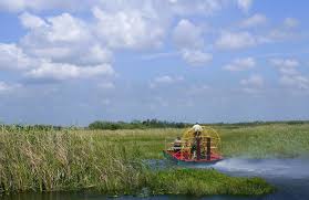 15 Best Places to Visit in Florida 2024 | Flightgift