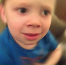 Plans to defeat lily, but lily one pumps to the face! He Looks S H O O K Rostos De Meme Memes Engracados Novos Memes