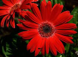 Learn the surprising story behind the holiday you know and love. When Is Mother S Day 2021