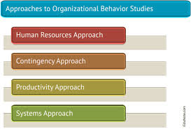 Organizational Behavior Explained Definition Importance