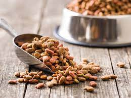 Maybe you would like to learn more about one of these? Can Humans Eat Dog Food