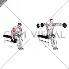 More images for seated dumbbell lateral raise » Seated Dumbbell Lateral Raise Off 53