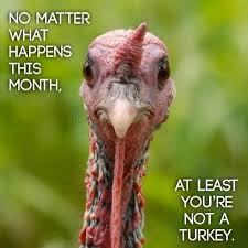 At Least You Re Not A Turkey Funny Thanksgiving Thanksgiving Pictures Thanksgiving Quotes Funny