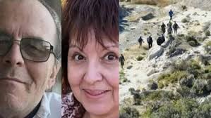 Una gata caminó más de 30 kilómetros sola para volver a su casa