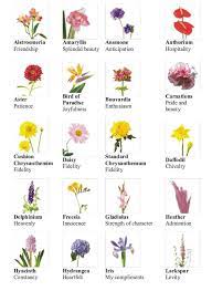 Hugedomains Com Different Types Of Flowers List Of Flowers Flower Meanings