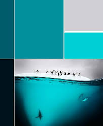Check spelling or type a new query. 34 Teal Colour Scheme Ideas Teal Color Schemes Teal Colors Color Schemes