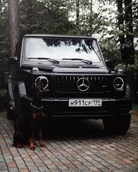 Pin De Mauricio Rueda Em Mercedes Benz Carros De Luxo Carros Luxo