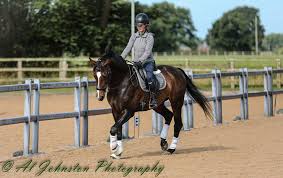 Profile for Al Johnston Photography