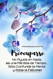 Preocuparse No Ayuda En Nada Es Una Perdida De Tiempo Solo Confunde La Mente Y Roba La Felicidad Spanish Quotes Quotes Life