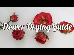And pretty expensive so when you wedding day is over what do you do with your flowers? Uk Most Popular Activities Kit And Accessories Dried Flower