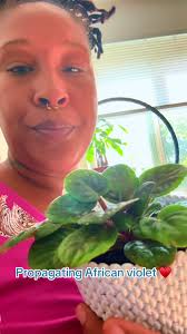 Propagating Rocco Elliot