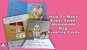 Birthday cards, thank you ecards, holiday greetings and more. How To Make Cute Homemade Dog Greeting Cards