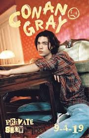 Conan Gray Poster In 2020 Conan Gray Aesthetic Conan Gray Conan