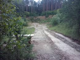 Чауский лесхоз основан в июле 2003 года. Chausskij Leshoz Glhu Ivutenko 19 375 33 3781111 Www Chausyleshoz By