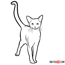The breed almost went extinct during the war due to crossbreeding. How To Draw The Norwegian Forest Cat Sketchok