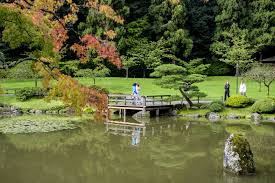 8 Pics The Japanese Garden And View In 2020 Japanese Garden Japanese Rock Garden Garden Photography