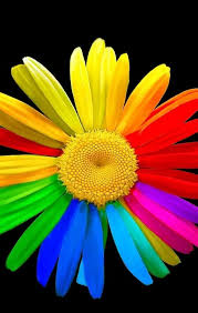 Colour Abstract Iphone Wallpaper Flower Wallpaper Butterfly Wallpaper