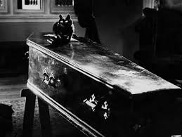 HIỆN TƯỢNG MÈO NHẢY QUA QUAN TÀI TRONG TÂM LINH‼️ ⚰ Từ bao đời nay, ông bà  ta vẫn luôn tránh để mèo xuất hiện trong đám tang, đặc biệt là mèo