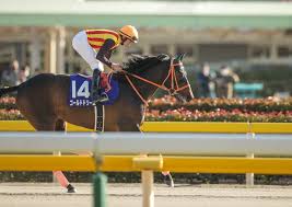 やっぱりワールドプレミアじゃん すばらc アリストテレスは4着と惜しかったけど、着順見るとやっぱりなという印象。 しかし頑張ってくれた 惜しいなぁ、、 馬券は、、、的中 最近的中率高め! ã‹ã—ã‚è¨˜å¿µ2019äºˆæƒ³ èˆ¹æ©‹1600mã®jpniæˆ¦ã§ã™