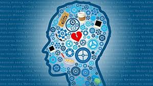 Memory A Very Short Introduction By Jonathan K Foster
