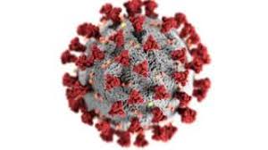 In indien breitet sich die variante b.1.617 rasant aus. Coronavirus Double Mutant Covid Variant Found In India Bbc News