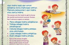 Mereka memang telah terbiasa menggunakan internet di ponsel untuk mencari informasi gambar untuk dijadikan inspirasi. Ebook Seri Sains Anak Alam Semesta Rahasia Keajaiban Tubuh Seberapa Pentingkah Manfaat Panca Indera Bagi Manusia Ebook Anak