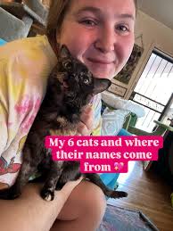 My six cats and where their names come from 💖