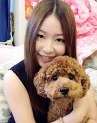 Top Pet Grooming in 2068 Castlecrag with Best Prices